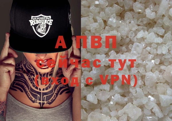 твердый Тайга