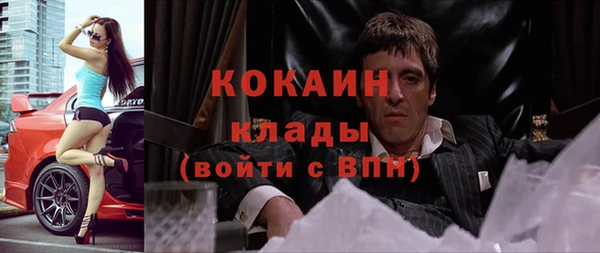 мдпв Тавда