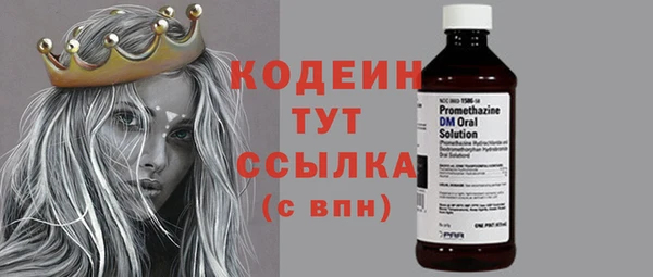 твердый Тайга