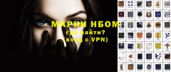 твердый Тайга