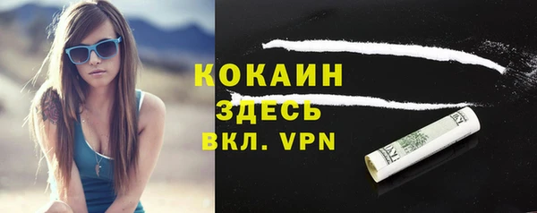 мдпв Тавда