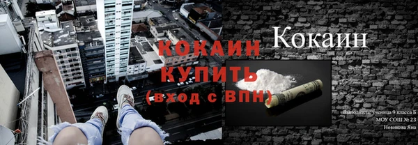 твердый Тайга