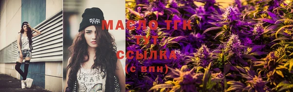 твердый Тайга