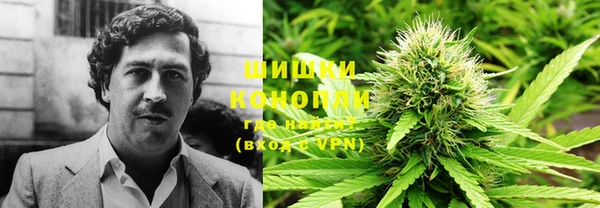 мдпв Тавда