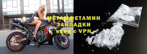 твердый Тайга
