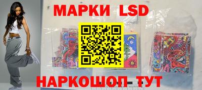 шишки Будённовск