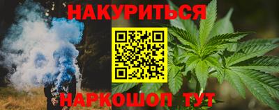 шишки Будённовск