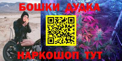шишки Будённовск