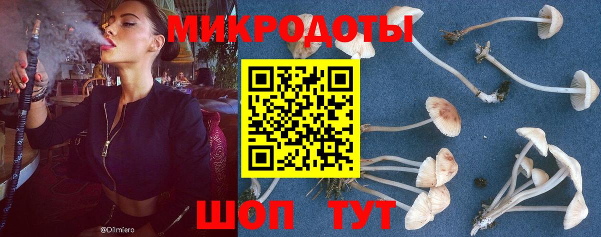 Галлюциногенные грибы MAGIC MUSHROOMS  Волжский 