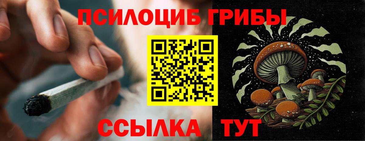 Галлюциногенные грибы Psilocybe  Вход с VPN  Волжский 