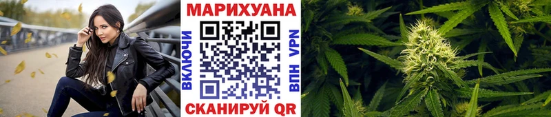 дарнет шоп  Волжский  Марихуана сатива 